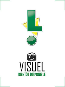 Échelle double alu 8M